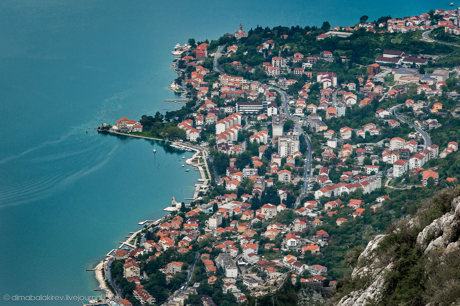 Kotor
